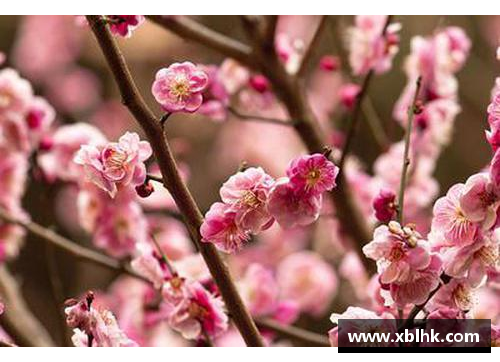 9999js金沙蝶恋花香，蜂采蜜意——探寻繁花似锦的多情季节 - 副本